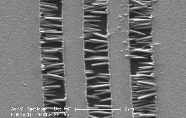 MTL Annual Report » Zinc Oxide Nanowire Devices