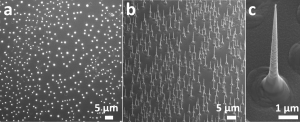 Figure 1: (a) Top-view SEM image of GaAs nanowire array showing nanowire density and uniformity. (b) 45° tilted nanowire array reveals average height of nanowires as 4.6 μm.  (c) Nanowires have a tapered morphology due to consumption of Ga seed particle. 