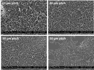 Figure 1: The SEM images of carbon nanotubes percolation network with different pitch sizes.