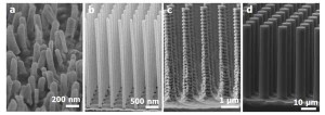 Figure 1: Scanning electron micrographs of fabricated pillar geometries. (a) Electrodeposited Au nanopillars defined by an anodic alumina template. (b) Si nanopillars fabricated using interference lithography and metal-assisted wet etching. (c) Si nanopillars fabricated using e-beam written mask and DRIE. (d) Si micropillars fabricated using optical lithography and DRIE.