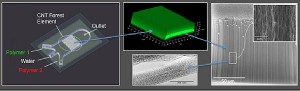 Figure 1: Left: microfluidic device containing a forest of carbon nanotubes through which fluids pass.  Center top: a confocal microscope image of the nanotube forest after the nanotube trees have been individually coated uniformly with molecular layers of polymers containing green fluorescent dye.  Right: Scanning and transmission electron microscope (SEM and TEM) images of the nanotube forest edge.  Center Bottom:  TEM image showing an individual nanotube coated conformally with the polymer layers.  